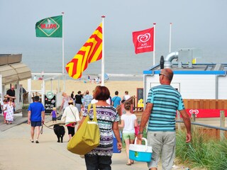 Vakantieappartement Egmond aan Zee Omgeving 19