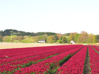 Appartamento per vacanze Egmond aan Zee Ambiente 22