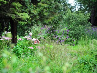 Surroundings