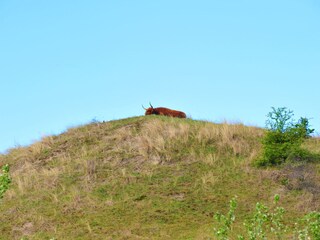 Dunes