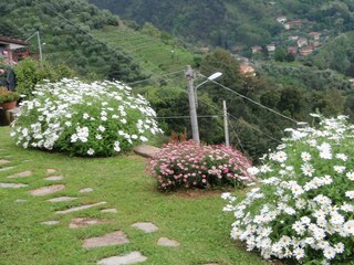 Appartamento Montignoso Registrazione all'aperto 5