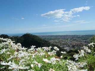 Appartamento Montignoso Registrazione all'aperto 10