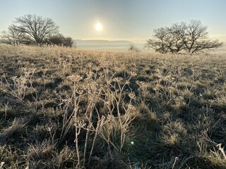 Holiday house Hallenberg Environment 36