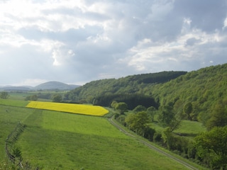 Dreisbachtal: Wanderwelt ab Haus