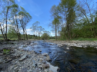 Fischtreppe am alten Wehr