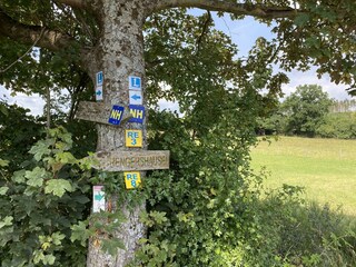 Vakantiehuis Hallenberg Omgeving 34