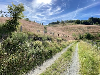 Wanderparadies Liesetal-Bollerberg