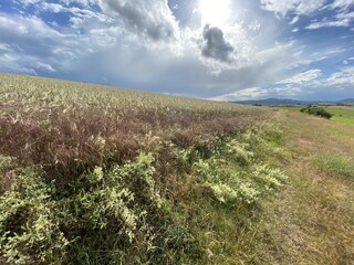 Vakantiehuis Hallenberg Omgeving 39