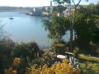 View from the garden