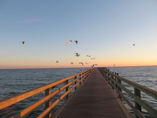 Holiday house Boltenhagen Environment 31