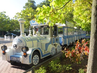 Holiday house Boltenhagen Environment 30