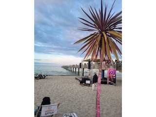 Holiday house Boltenhagen Environment 34