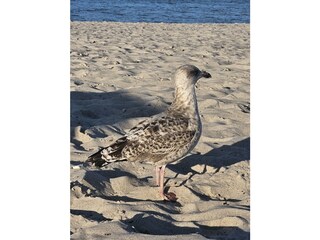 Holiday house Boltenhagen Environment 37