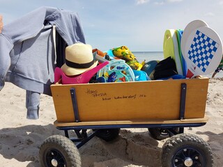 Holiday house Boltenhagen Document 43