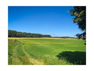 Parlow ist umgeben von vielen Wäldern und Seen