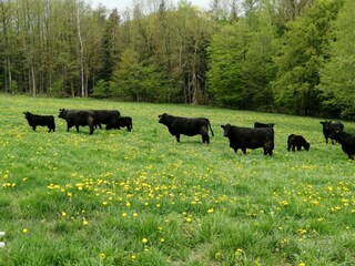 Von April - Oktober draußen