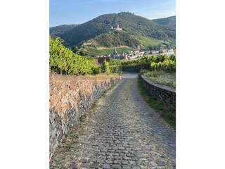 Wanderweg von Graach-Schäferei nach Bernkastel-Kues