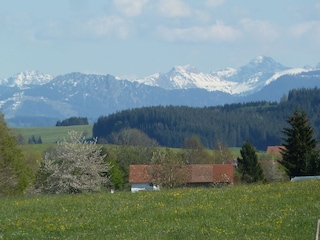 Blühendes Voralpenland