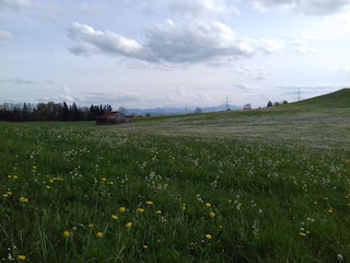 Allgäu im April