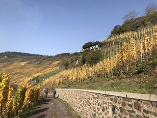 Casa de vacaciones Traben-Trarbach Entorno 19