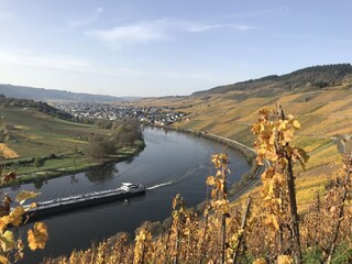 Casa per le vacanze Traben-Trarbach Ambiente 20