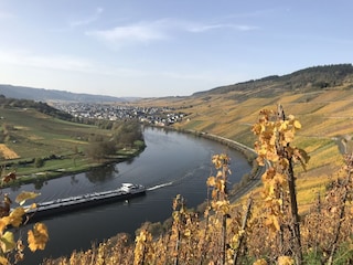 Vakantiehuis Traben-Trarbach Omgeving 20