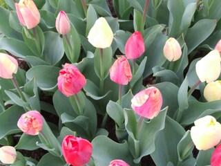 Villa Bergen aan Zee Ambiente 22