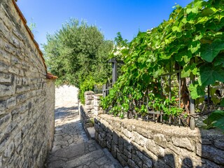 Villa Vrsar Environment 30