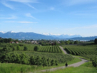 Blick vom nahe gelegenen Taubenberg auf den Bodensee