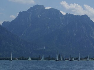 Segler auf dem Forggensee