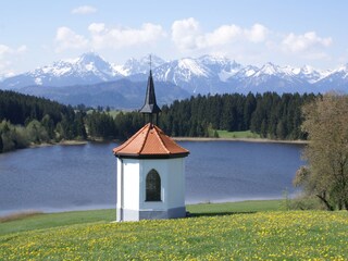 Hergratsriedsee im Frühling