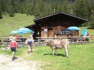 Bergtour zur Jägerhütte