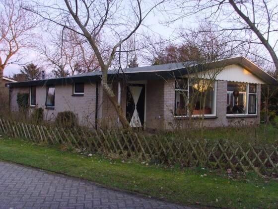 Niederländische single frauen Single-Frau mit Kinderwunsch: Suche Mann zum Kinderkriegen