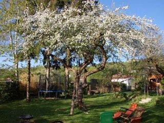 Trampolin und Kletterbaum