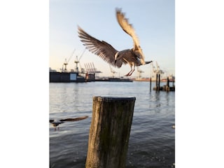 An der Elbe