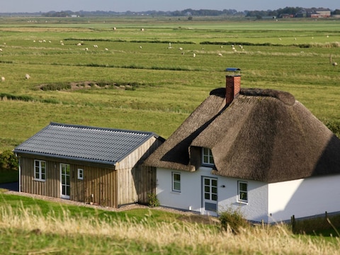 Ferienhaus Seegut