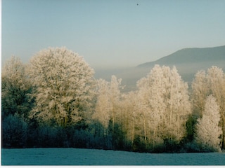 Winterlandschaft