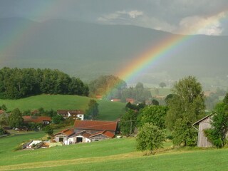 Regenbogen