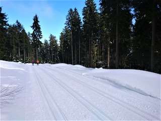 Langlaufloipe
