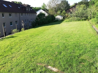 Viel Platz zum Toben
