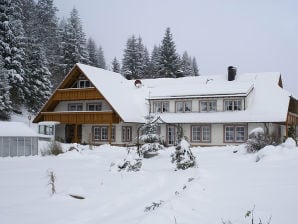 Ferienwohnung Hetzlenmühle 3-Zimmer-Wohnung Nr. 2 - Görwihl - image1