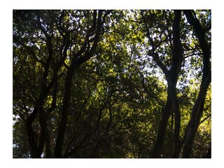 Cottage Keri-Marathias Außenaufnahme 9