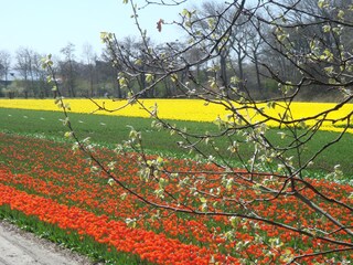 Appartamento per vacanze Egmond aan den Hoef Ambiente 13