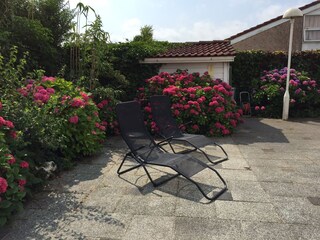 Holiday apartment Egmond aan den Hoef Outdoor Recording 6