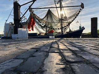 Krabbenkutter im Dangaster Hafen