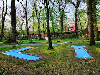 Minigolf im Wald