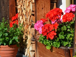 Holiday apartment Reit im Winkl Outdoor Recording 6