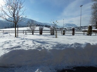 Holiday apartment Reit im Winkl Environment 22