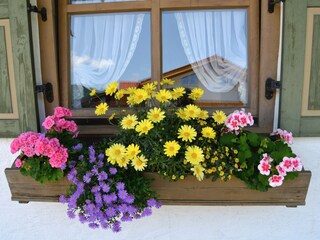 Holiday apartment Reit im Winkl Environment 26