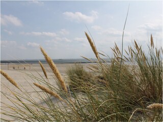 Appartamento per vacanze Borkum Ambiente 19